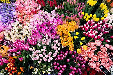 2022 indiePlay中国独立游戏大赛入围名单公布！11月13日公布各奖项最终归属！